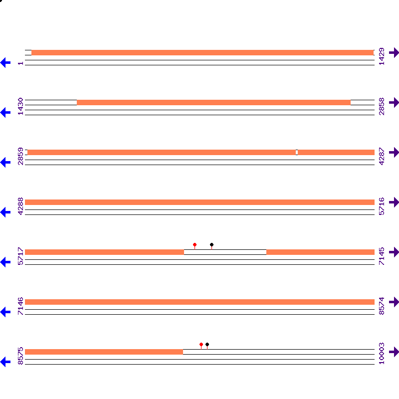Genome View