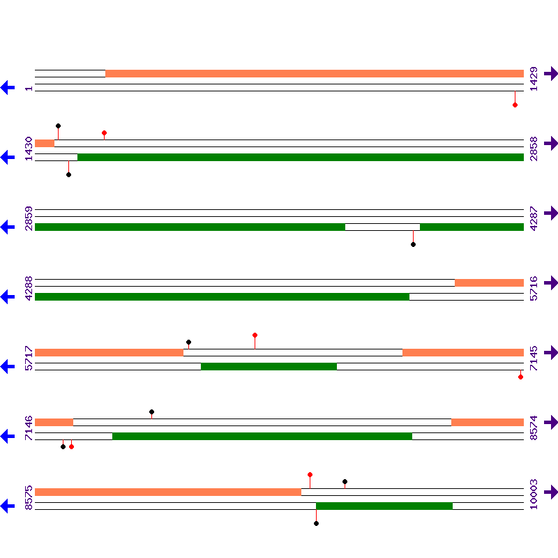 Genome View