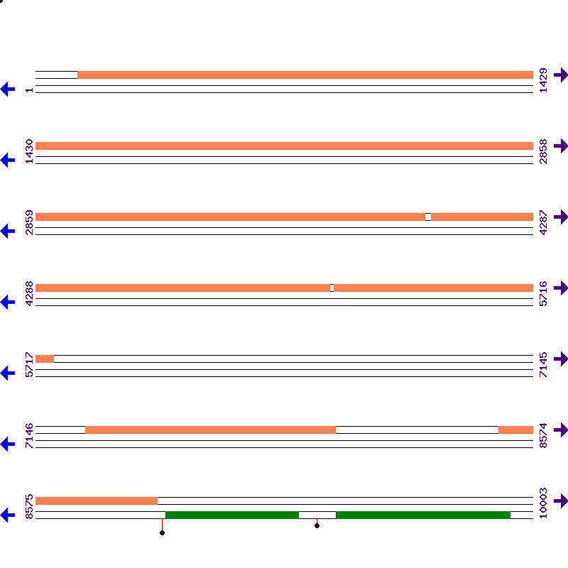 Genome View