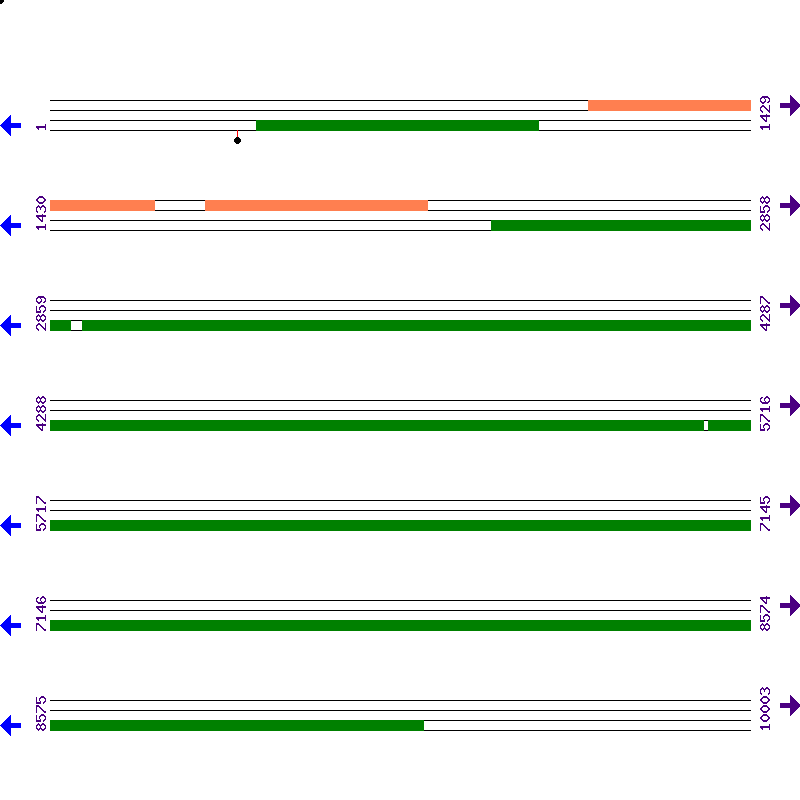 Genome View