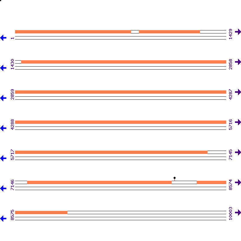 Genome View
