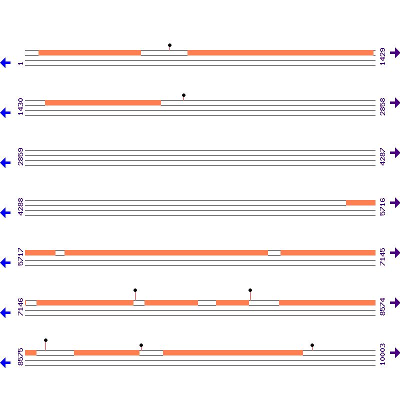 Genome View