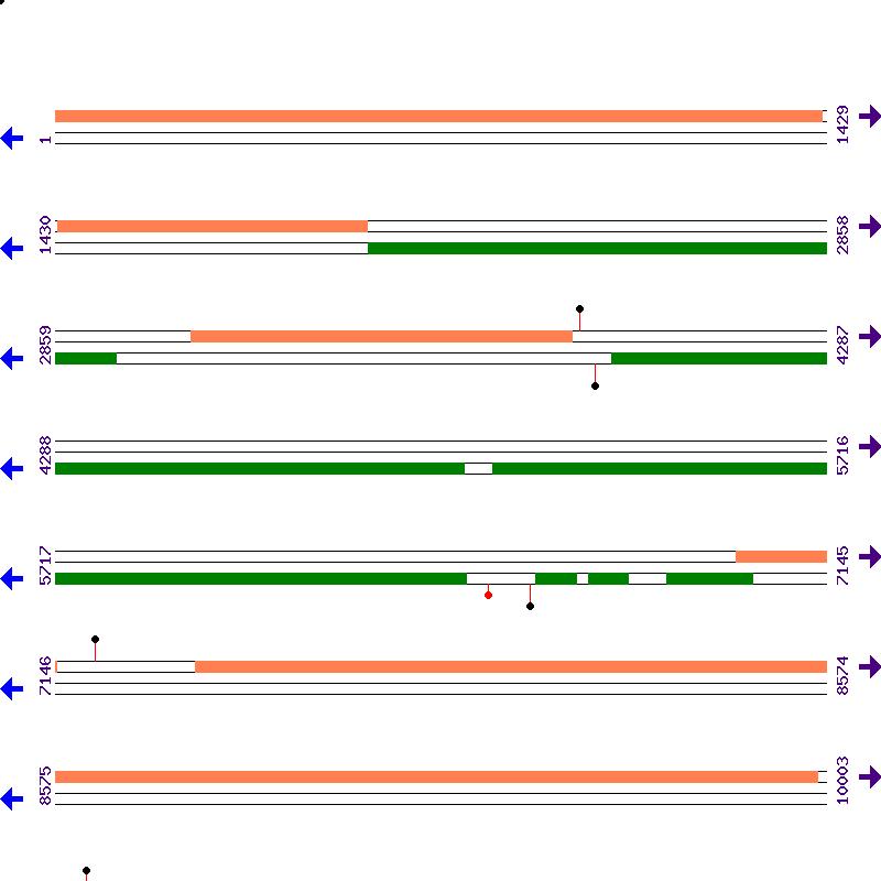 Genome View