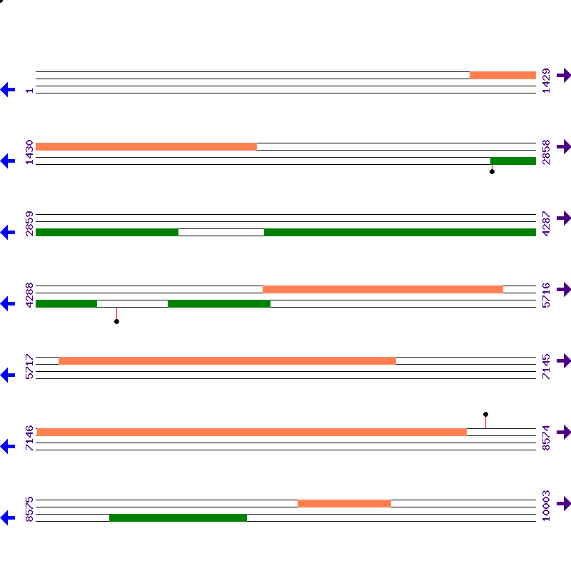 Genome View