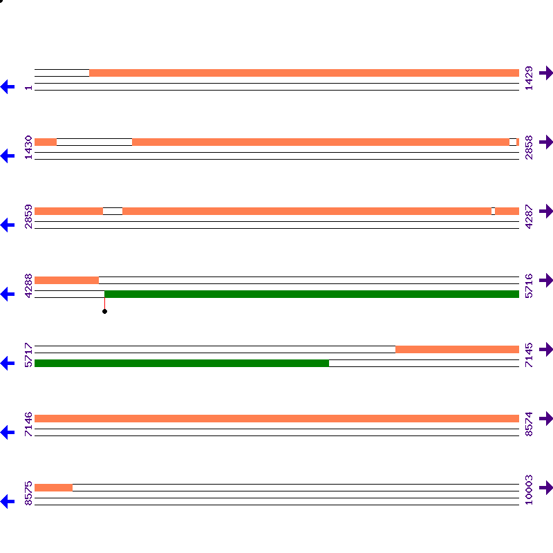 Genome View