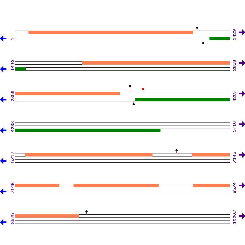 Genome View