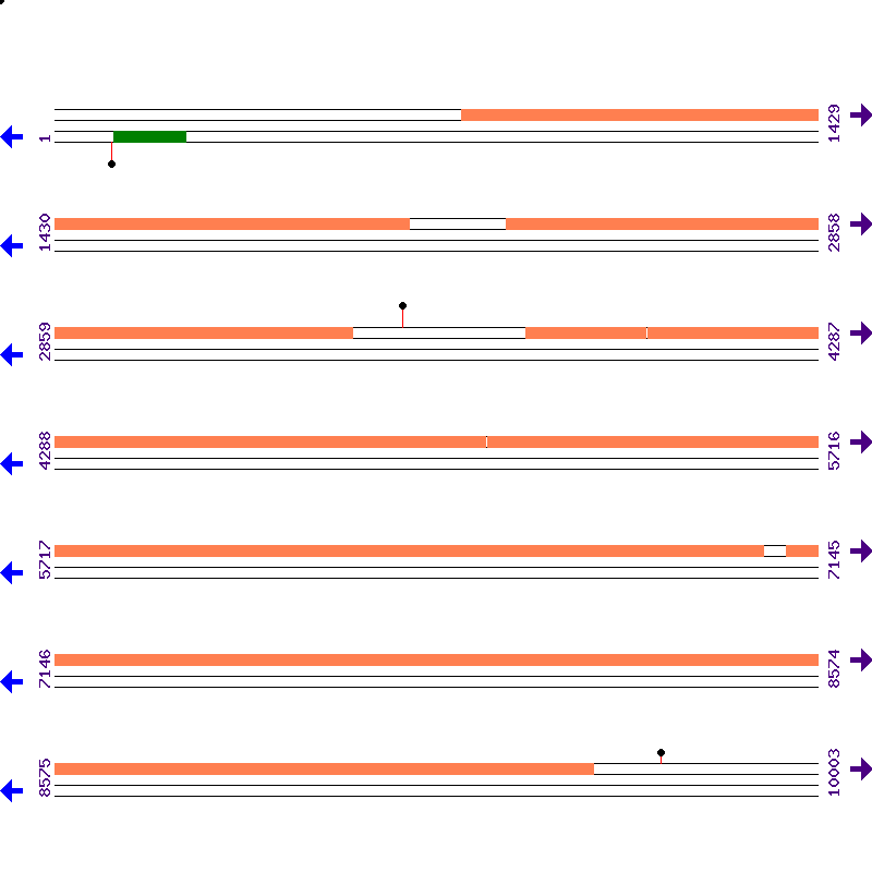Genome View