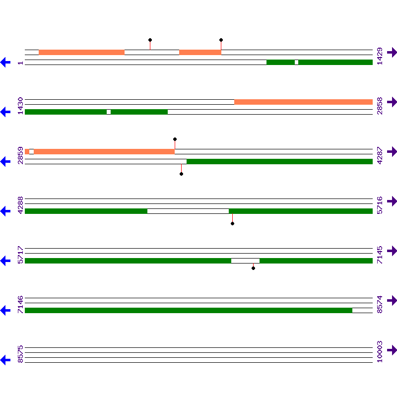 Genome View