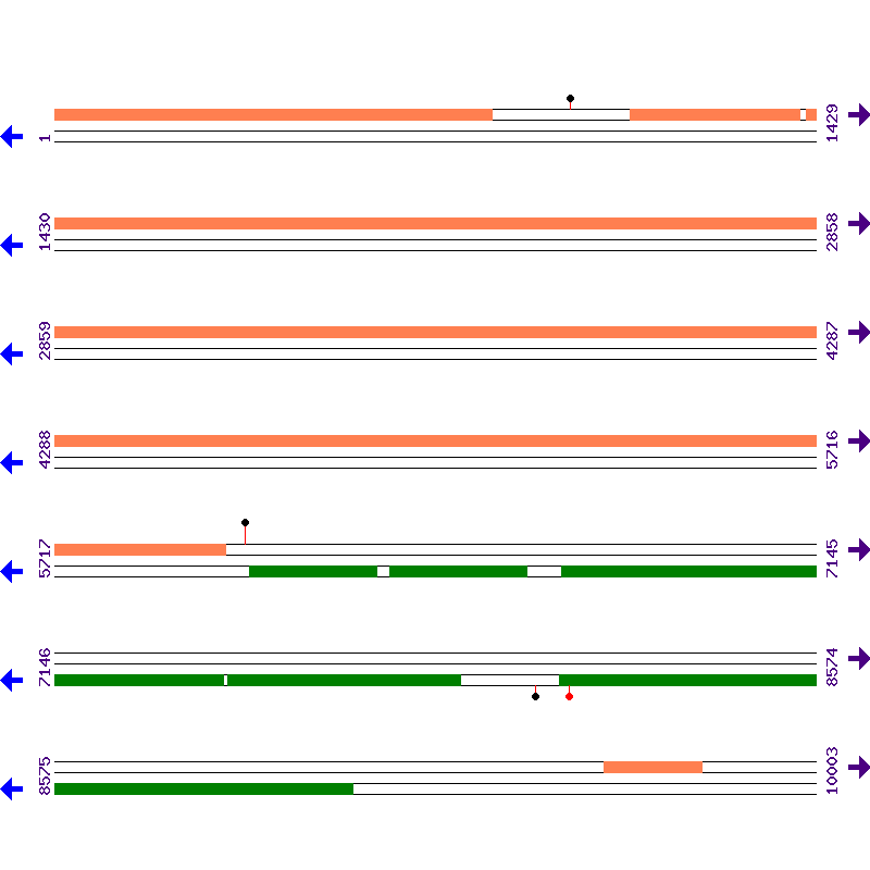 Genome View