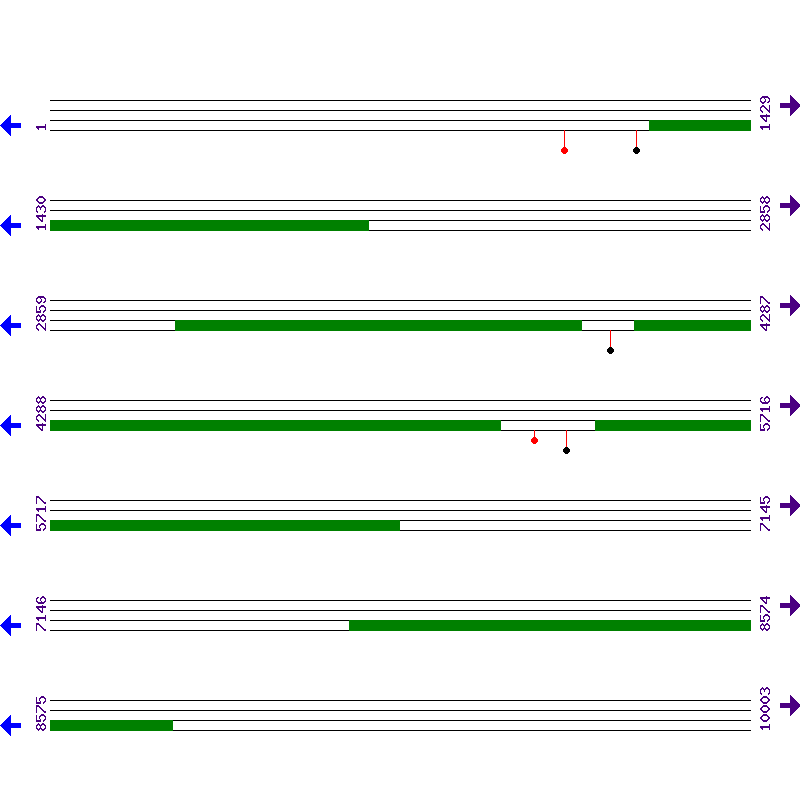 Genome View