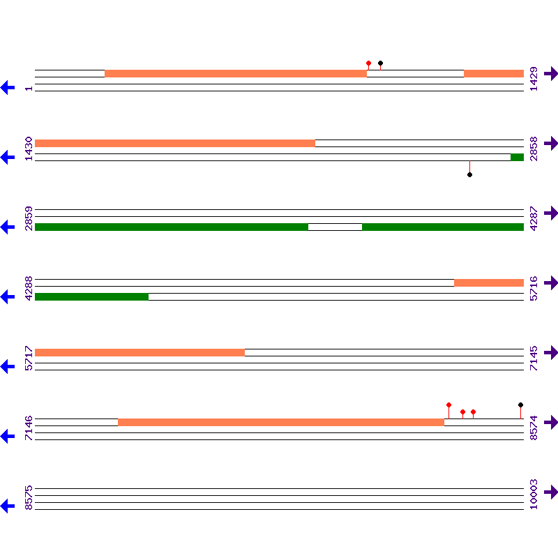 Genome View
