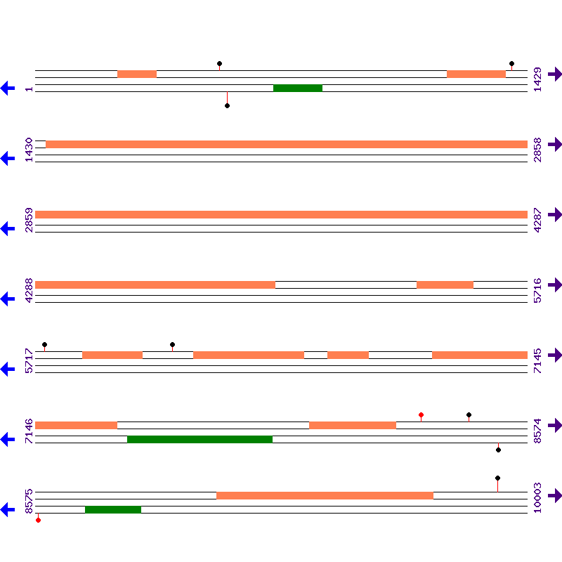 Genome View
