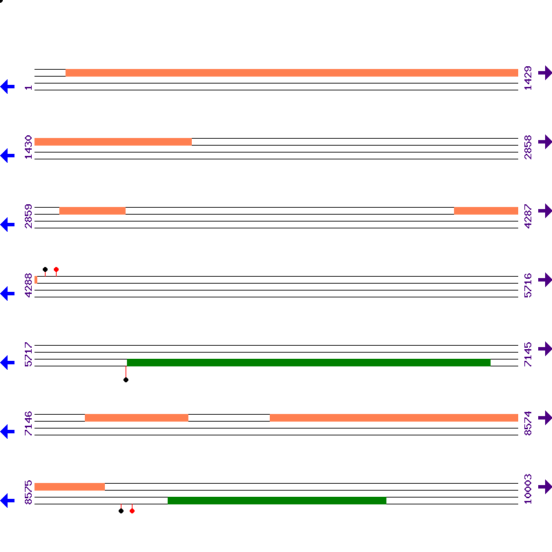 Genome View