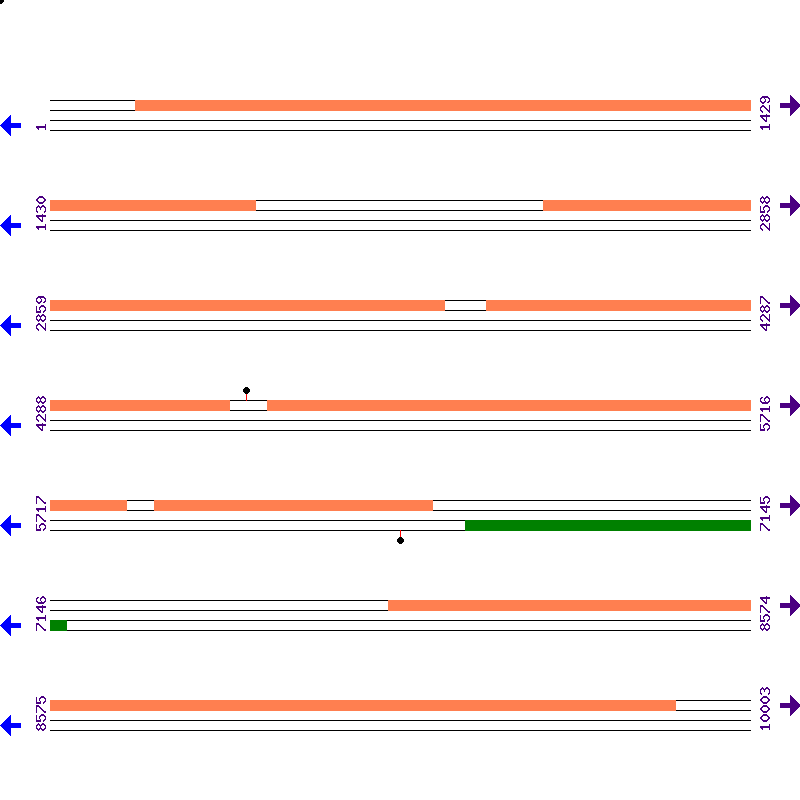 Genome View