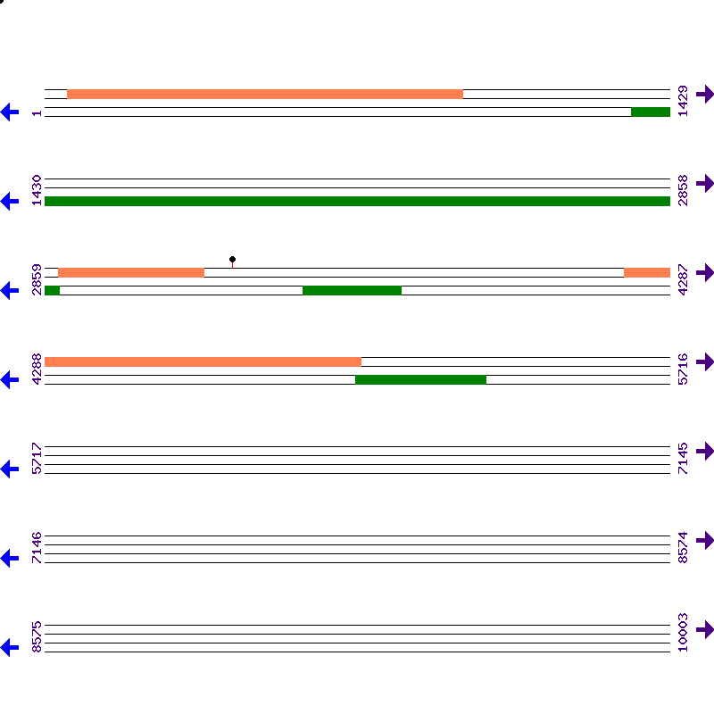 Genome View