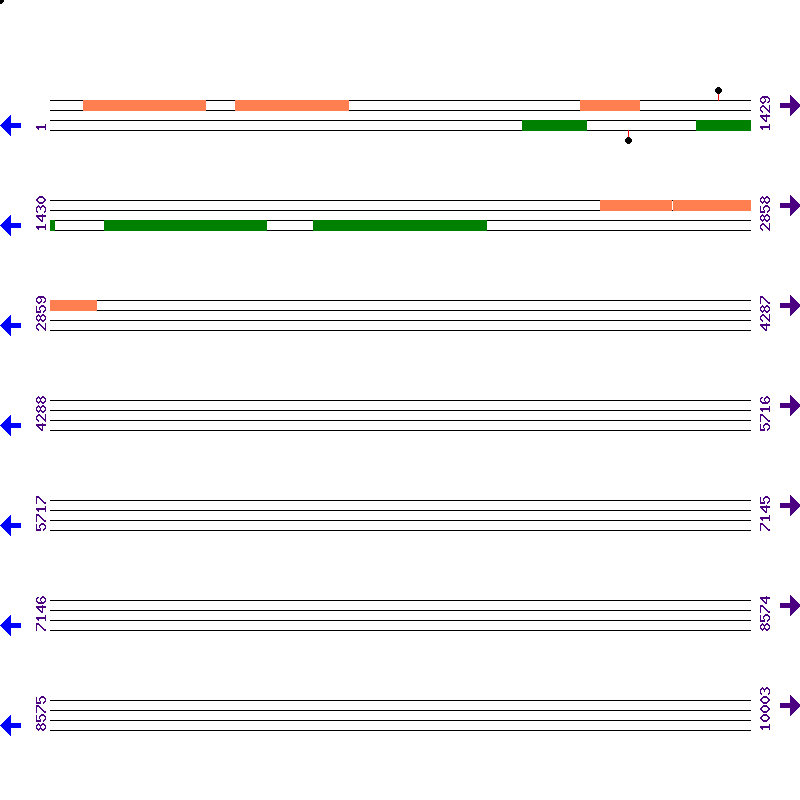 Genome View