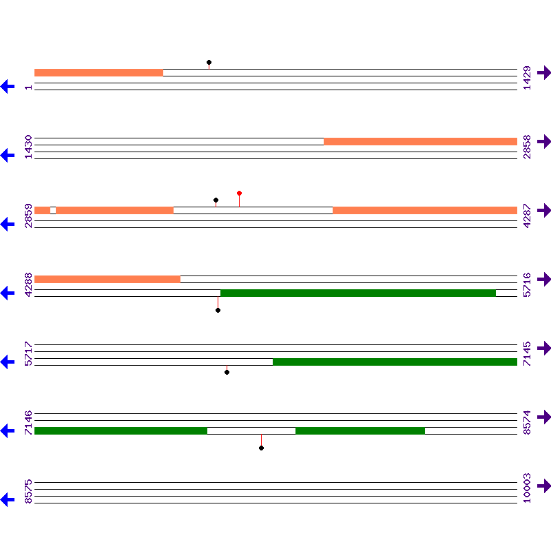Genome View