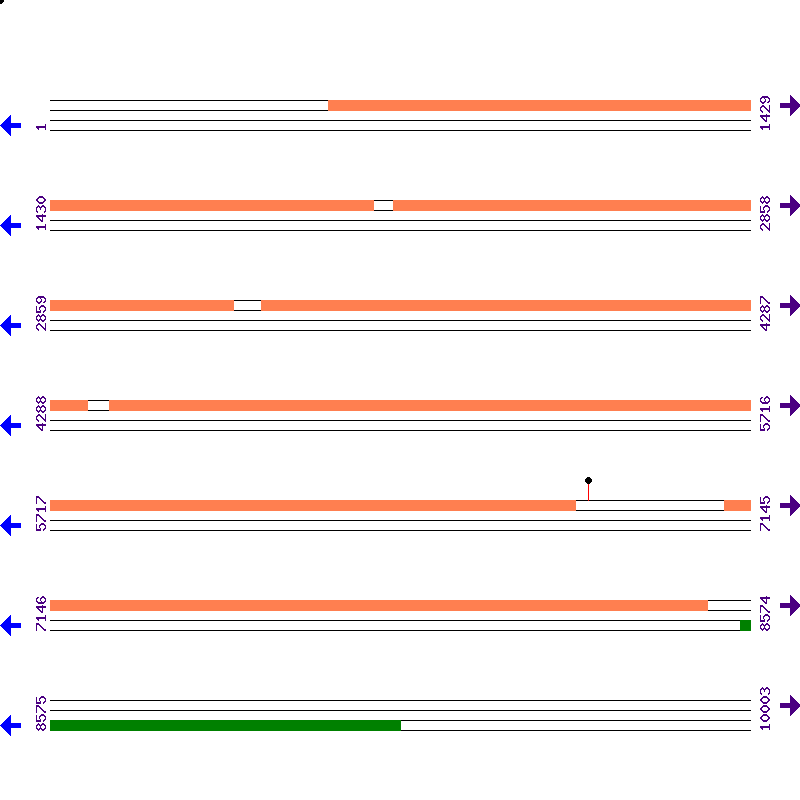 Genome View