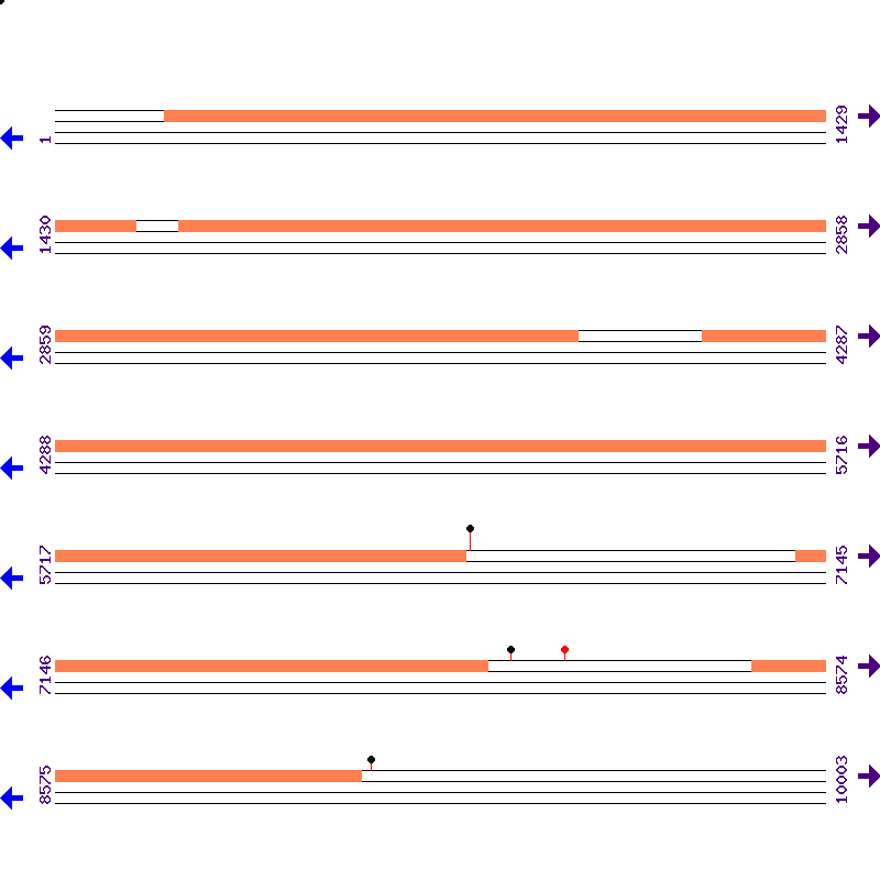 Genome View