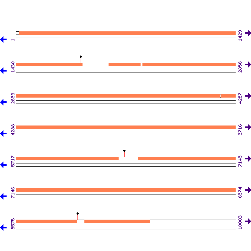 Genome View