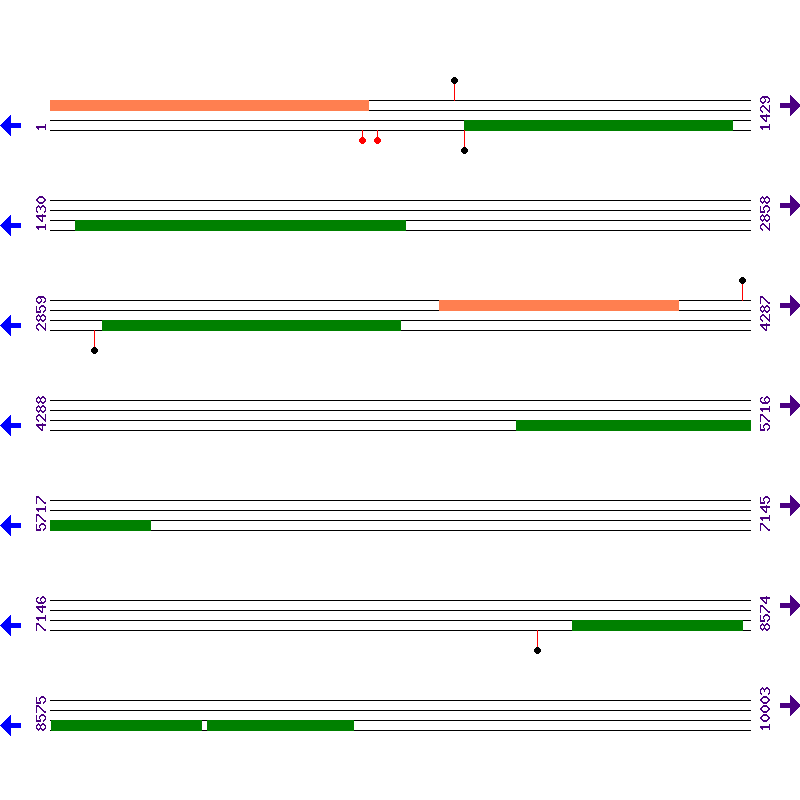 Genome View