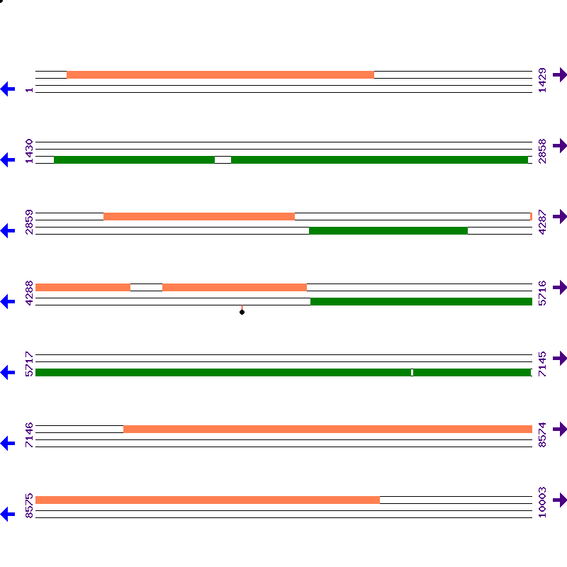 Genome View