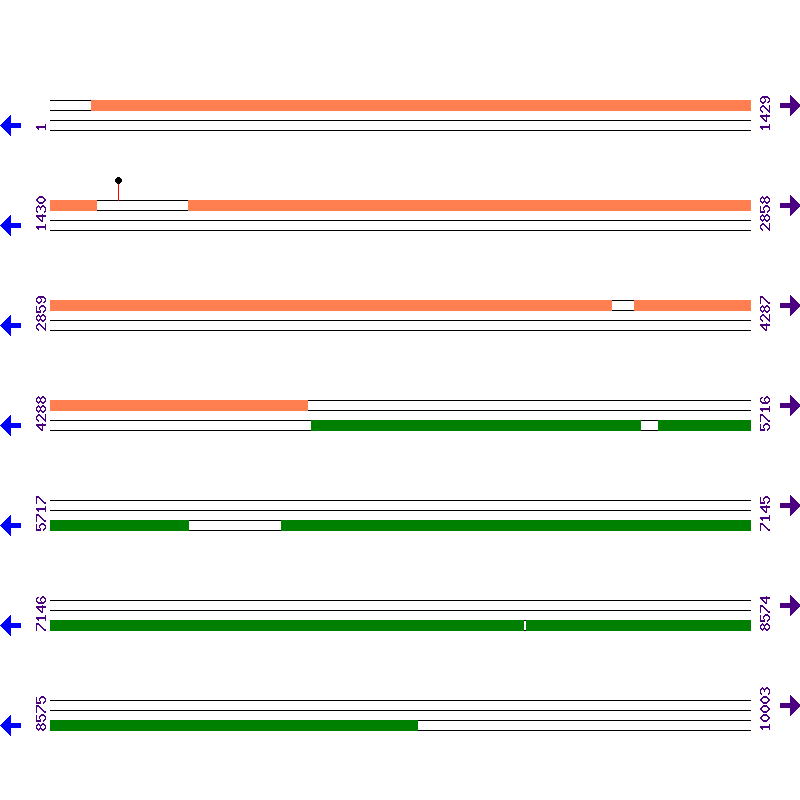 Genome View