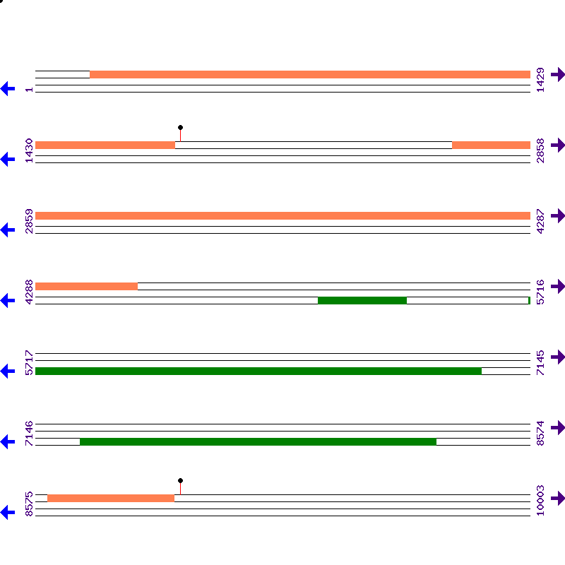 Genome View