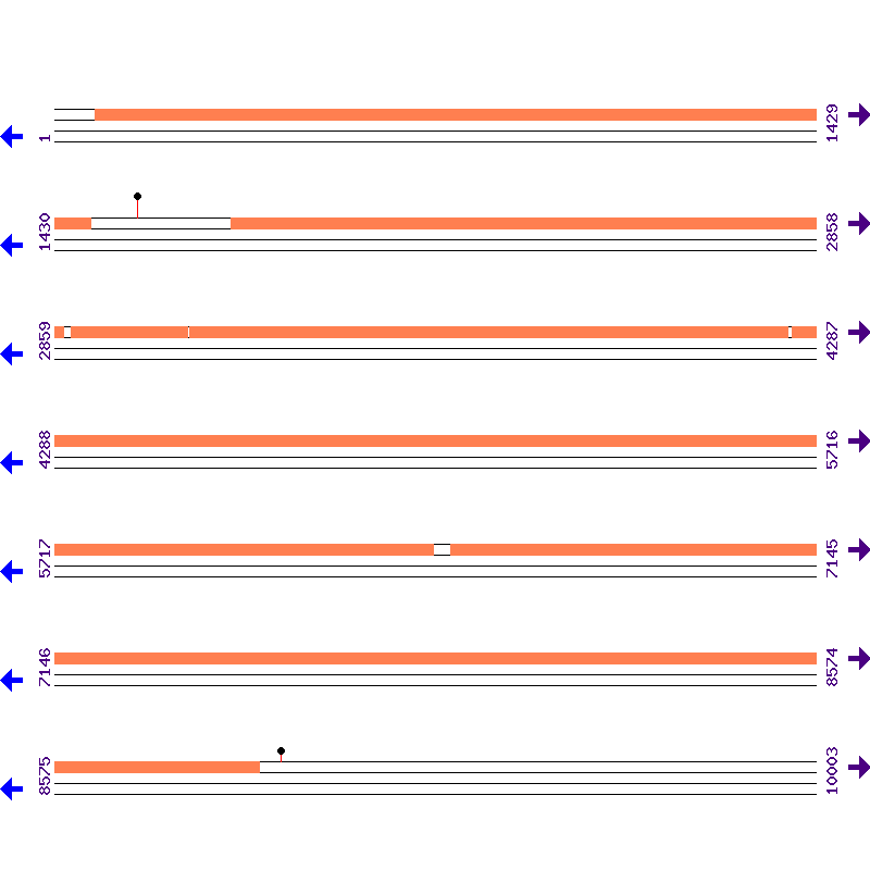 Genome View