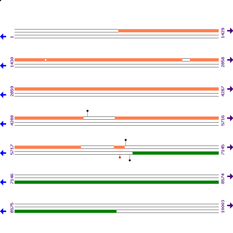 Genome View
