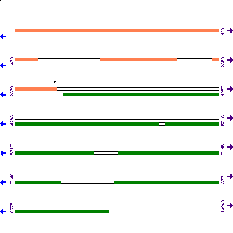 Genome View