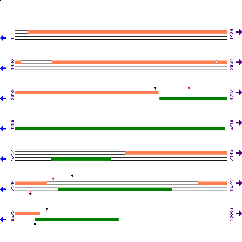Genome View