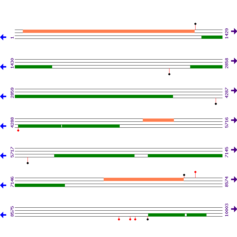 Genome View