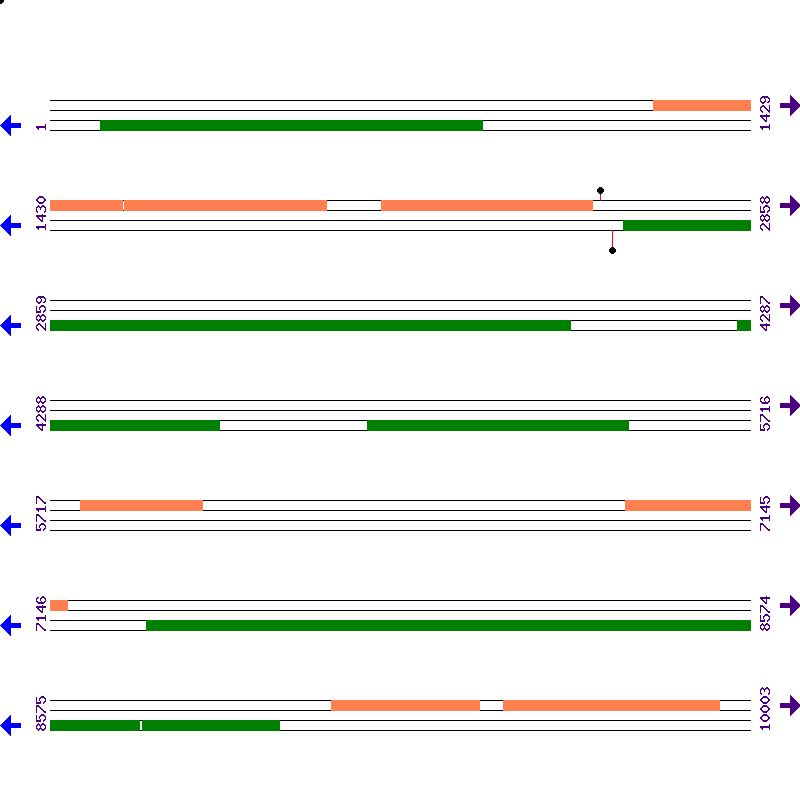 Genome View
