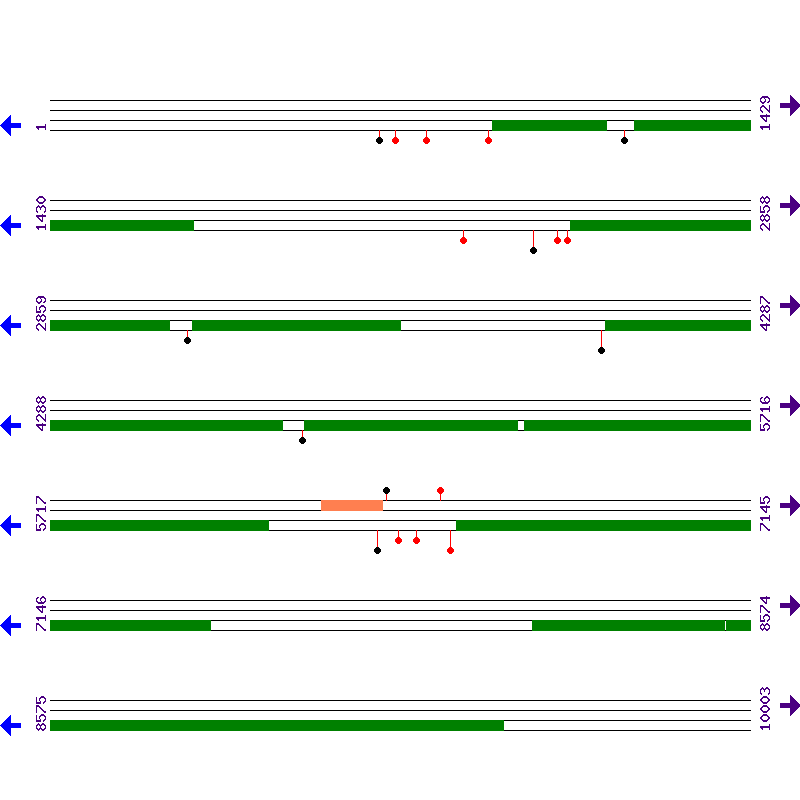 Genome View