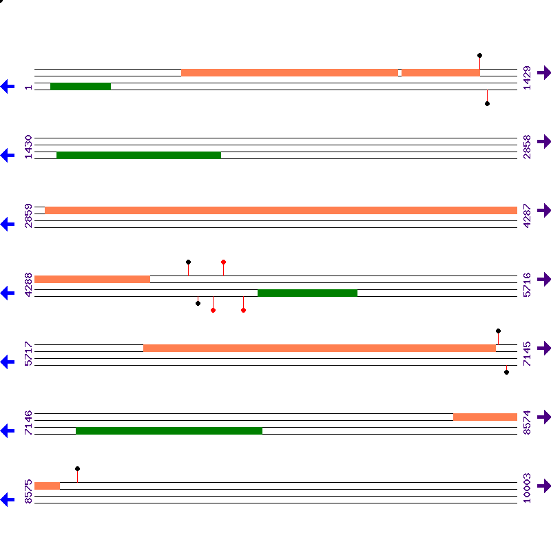 Genome View