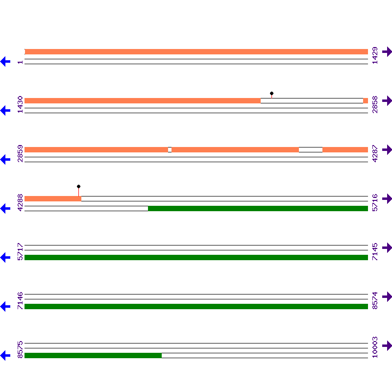 Genome View