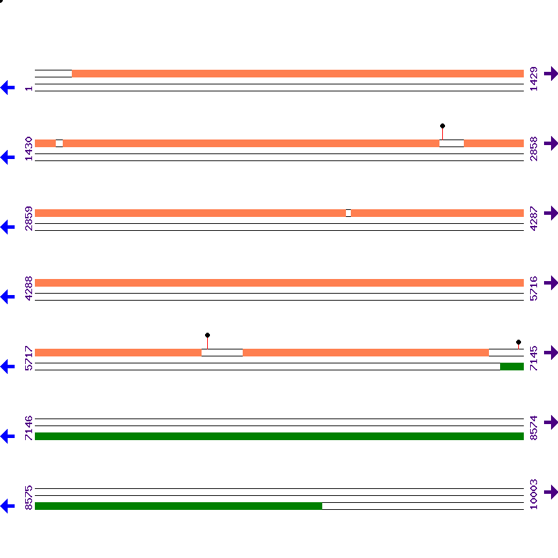 Genome View