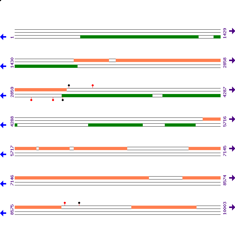 Genome View