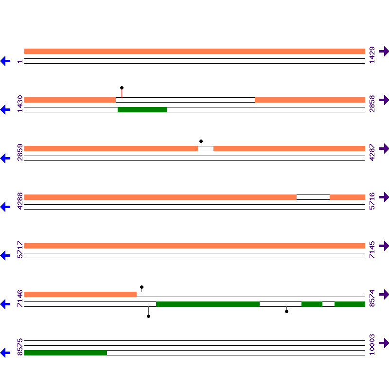 Genome View