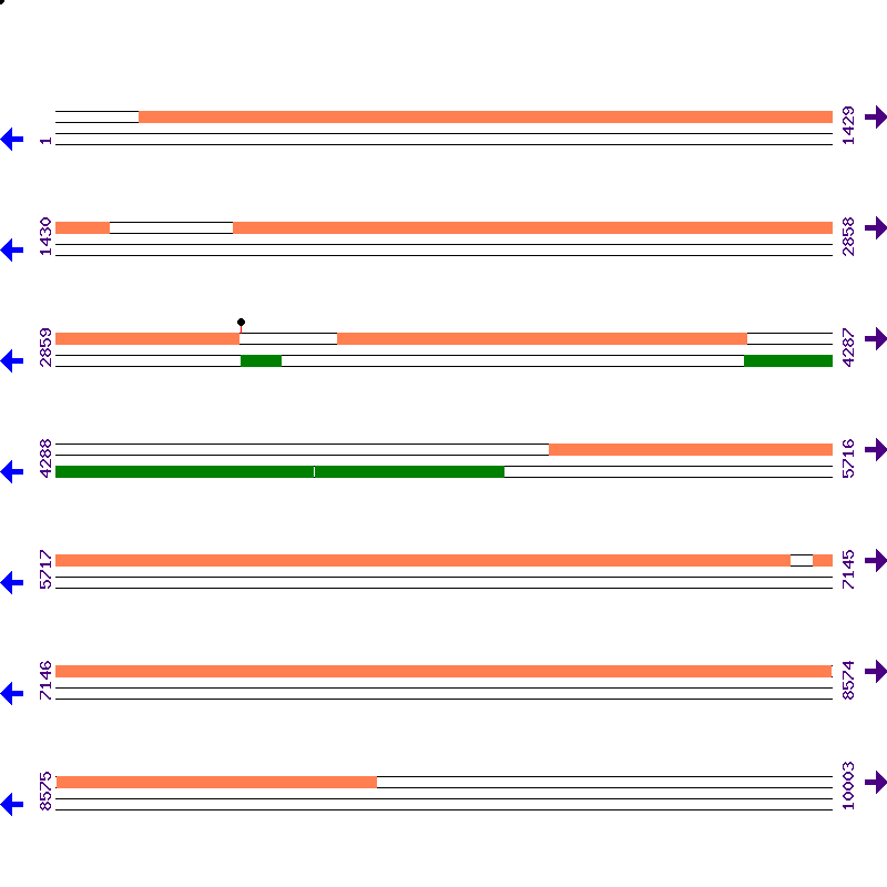 Genome View