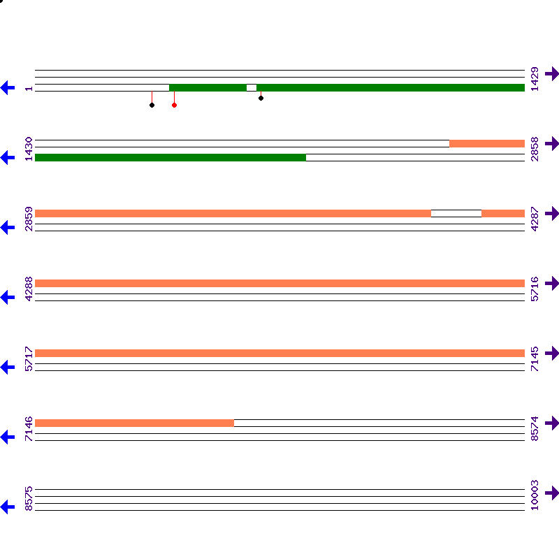 Genome View