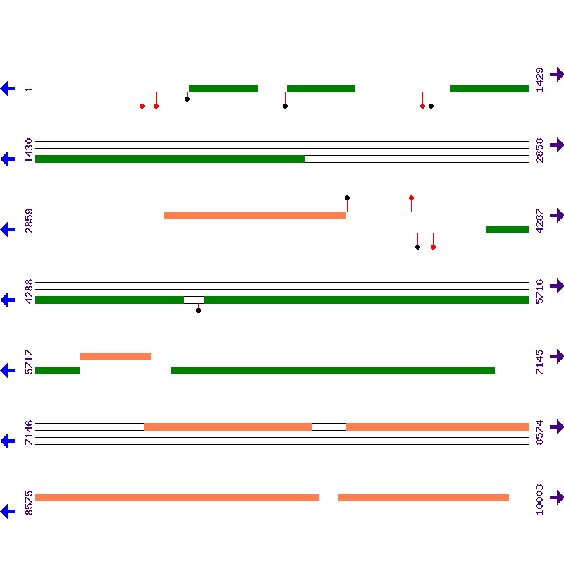 Genome View