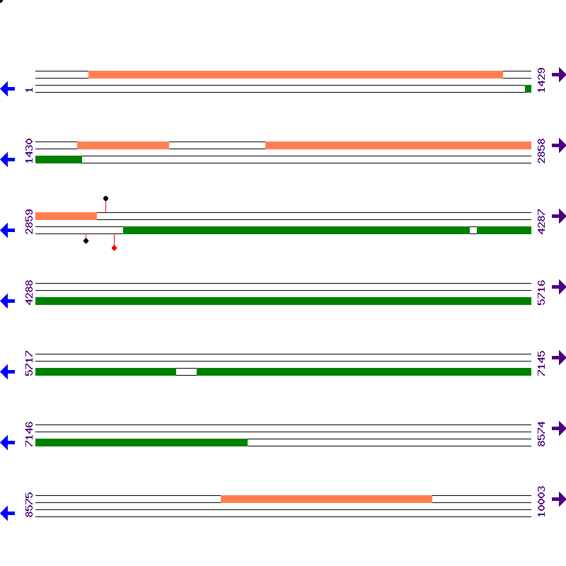 Genome View