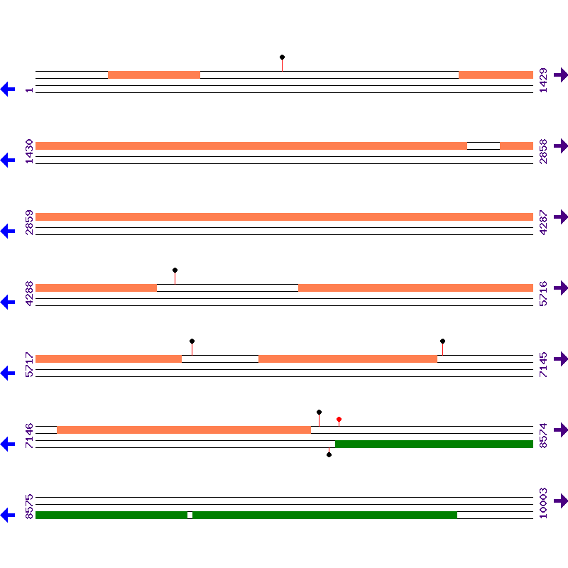 Genome View