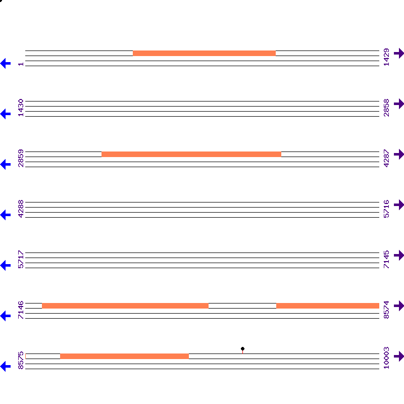 Genome View