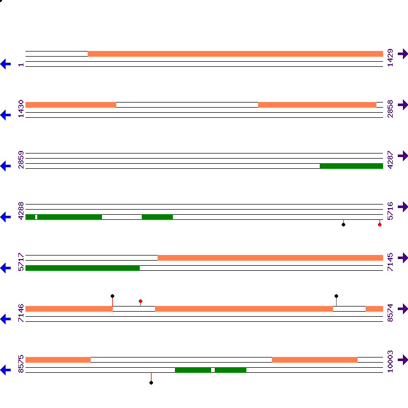 Genome View