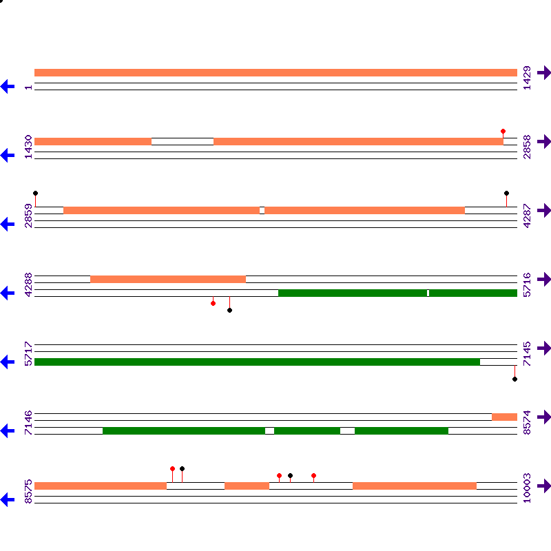 Genome View