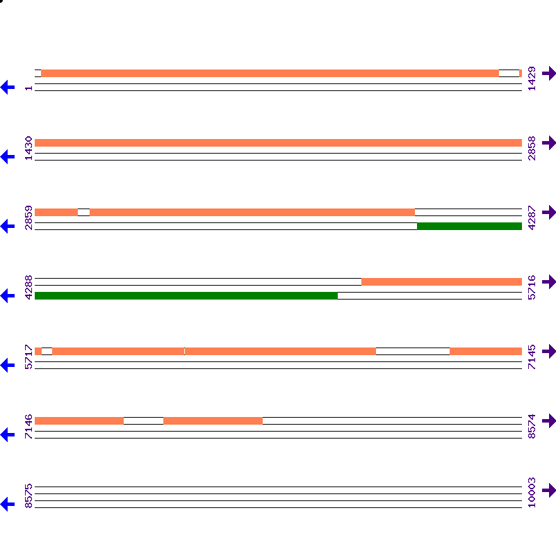 Genome View