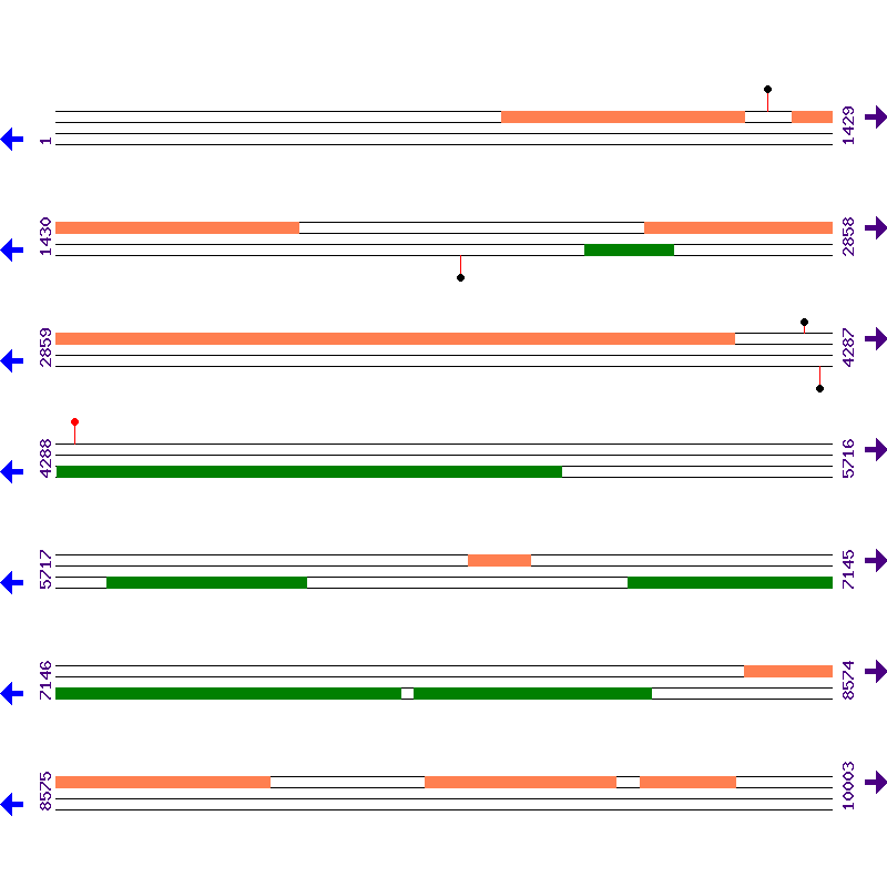 Genome View